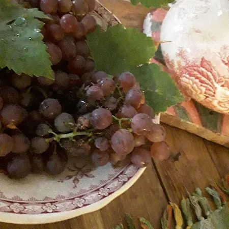 Bed & Breakfast Bastida De Beata *