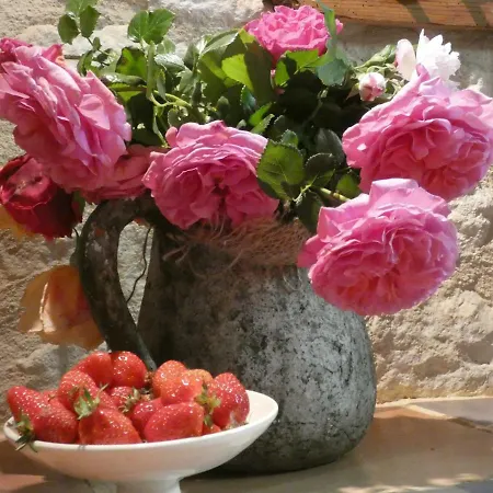 Bastida De Beata Bed & Breakfast Noailles (Tarn)